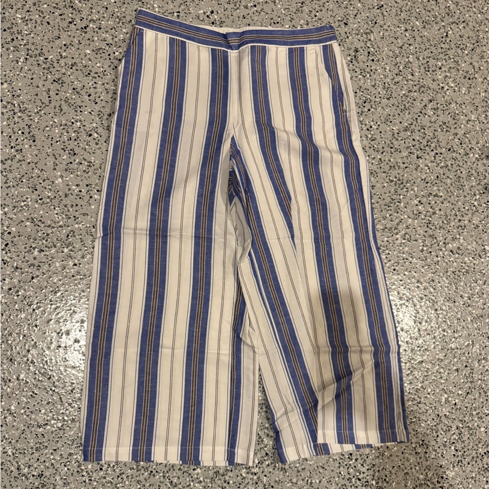 LOFT Women’s Blue and White Striped Casual Pants